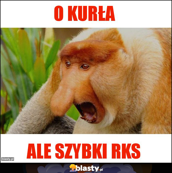 O KURŁA