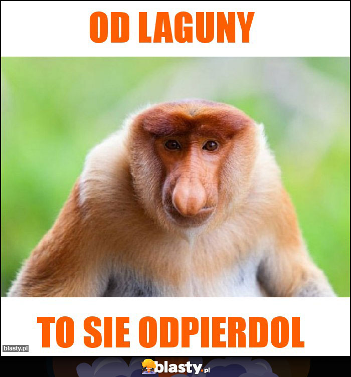 Od laguny