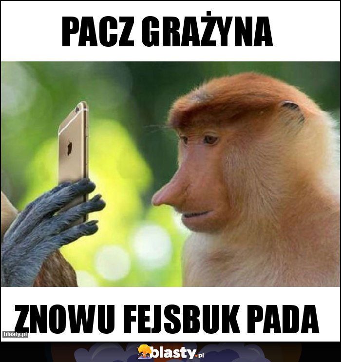 Pacz Grażyna