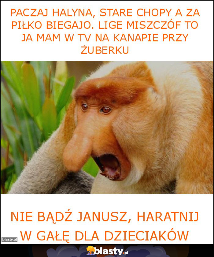 paczaj halyna, stare chopy a za piłko biegajo. lige miszczóf to ja mam w tv na kanapie przy żuberku