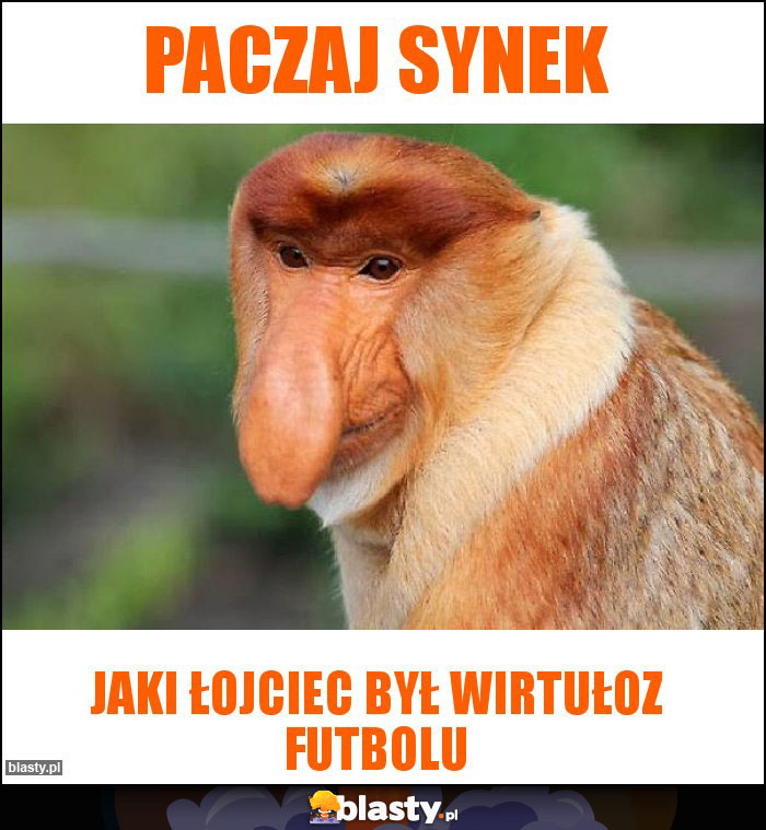 Paczaj Synek