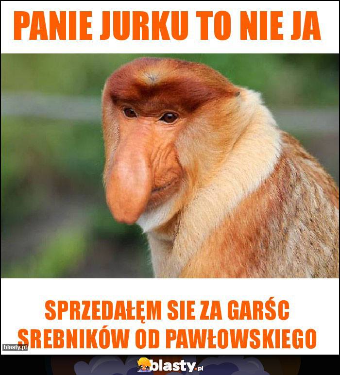 Panie Jurku to nie ja