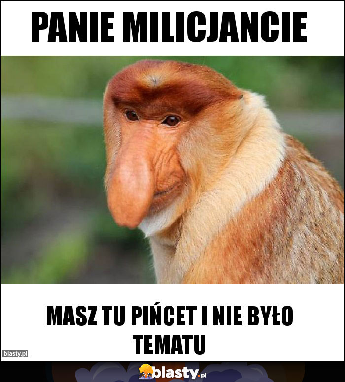 Panie Milicjancie