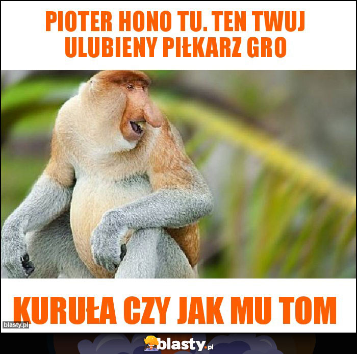 Pioter hono tu. Ten twuj ulubieny piłkarz gro