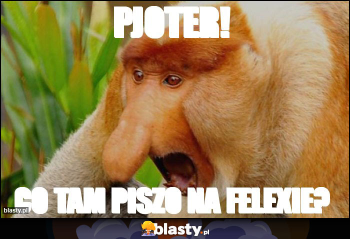 Pjoter!