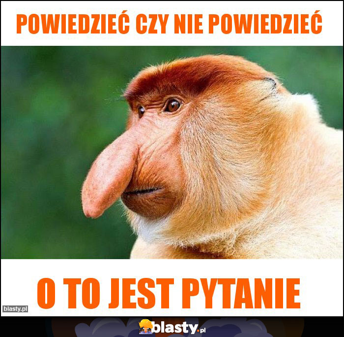 Powiedzieć czy nie powiedzieć