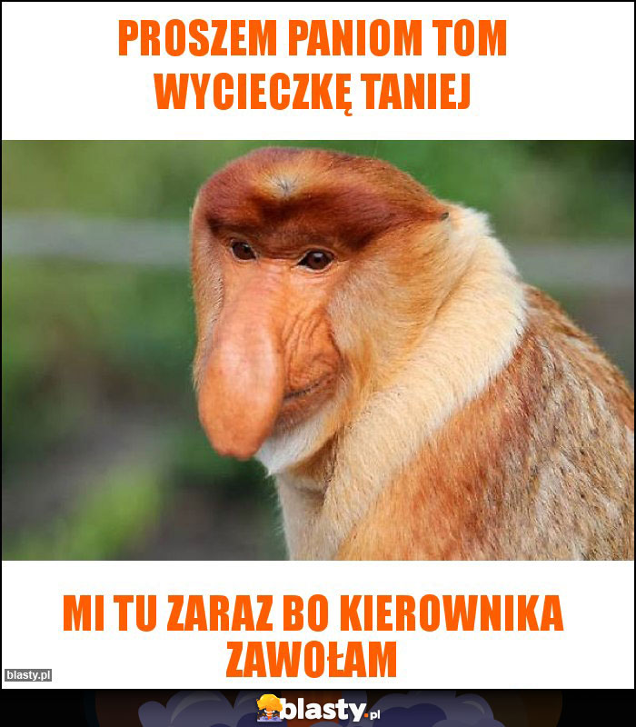 Proszem Paniom Tom wycieczkę taniej