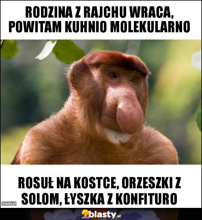 rodzina z rajchu wraca, powitam kuhnio molekularno