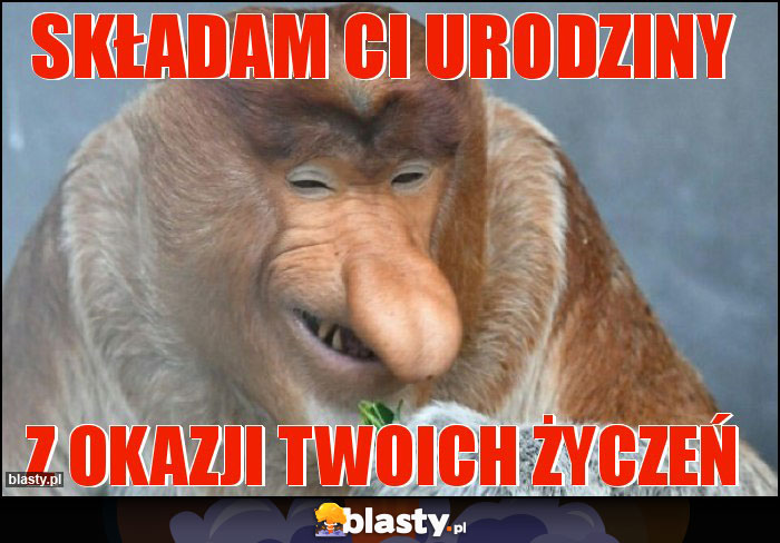 Składam ci urodziny