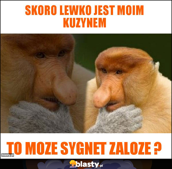 Skoro lewko jest moim kuzynem