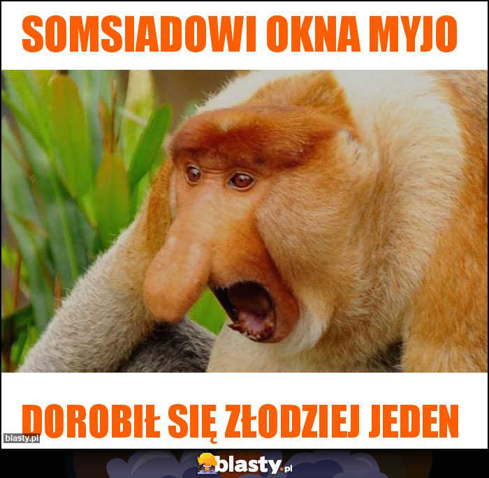 Somsiadowi okna myjo