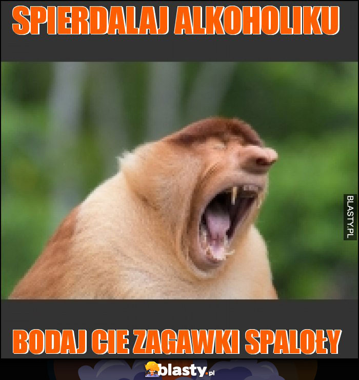 Spierdalaj alkoholiku