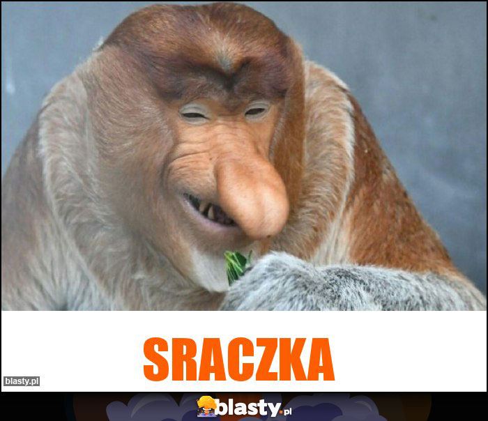 Sraczka