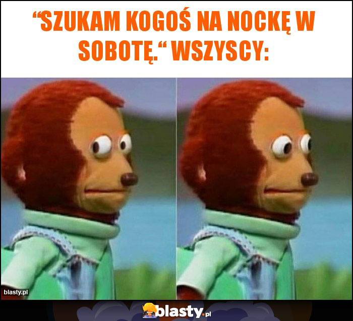 “Szukam kogoś na nockę w sobotę.“ Wszyscy: