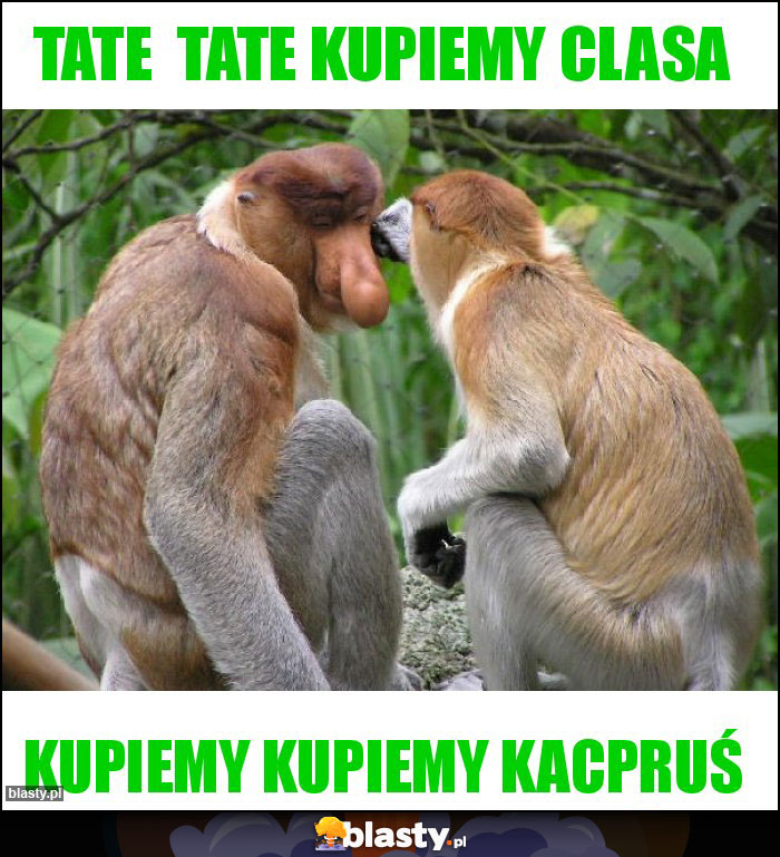 Tate  tate kupiemy clasa