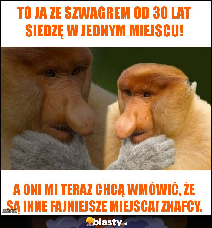 To Ja ze Szwagrem od 30 lat siedzę w jednym miejscu!