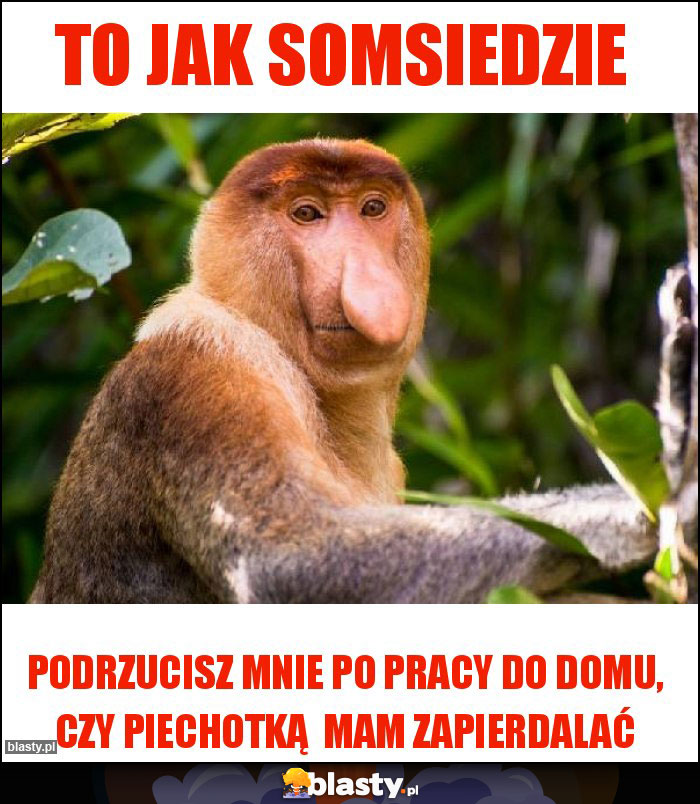 TO JAK SOMSIEDZIE