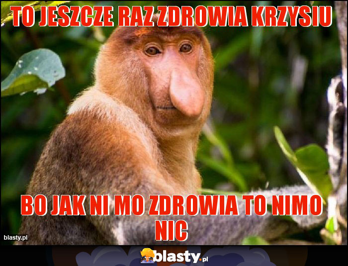 To jeszcze raz zdrowia krzysiu