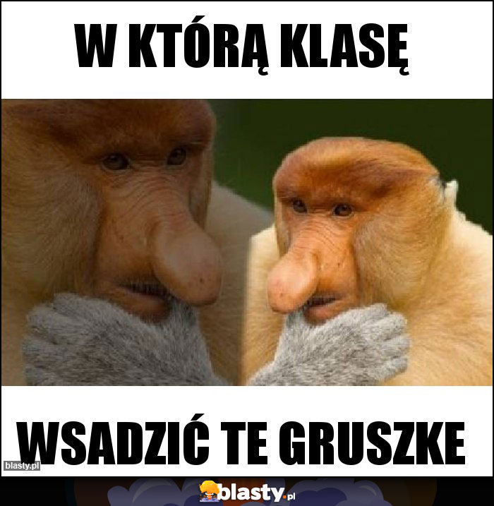 W którą klasę