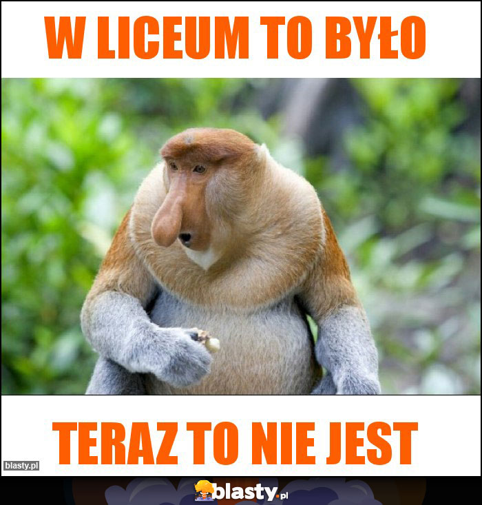 W liceum to było