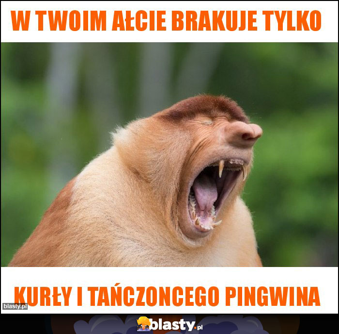 W twoim ałcie brakuje tylko