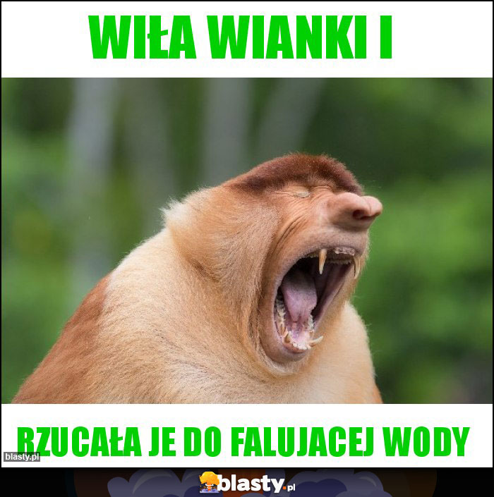 Wiła wianki i