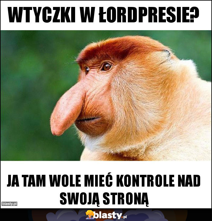 Wtyczki w łordpresie?