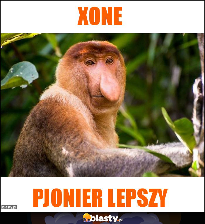 XONE