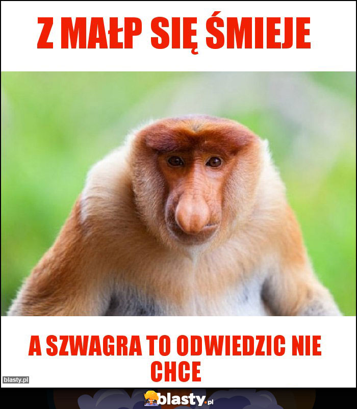 Z małp się śmieje