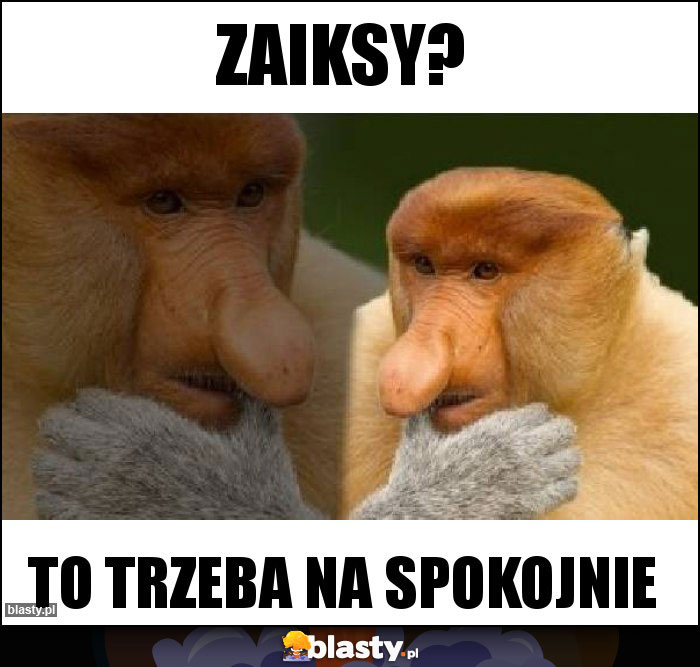 Zaiksy?