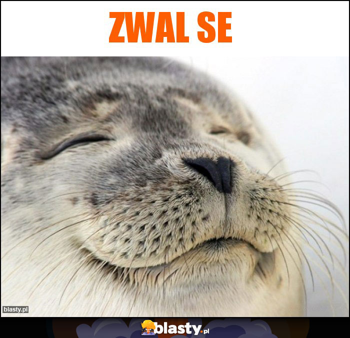 Zwal se