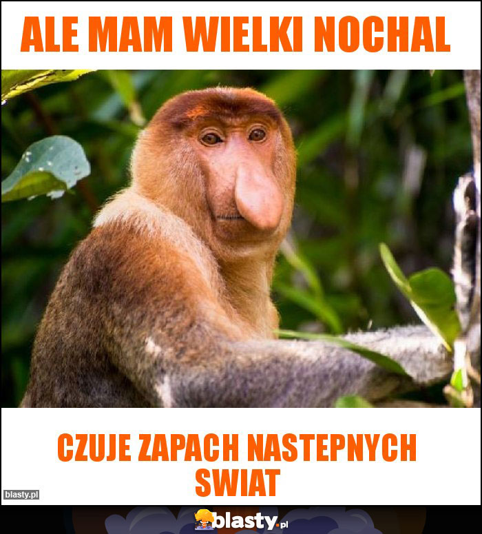 Ale mam wielki nochal