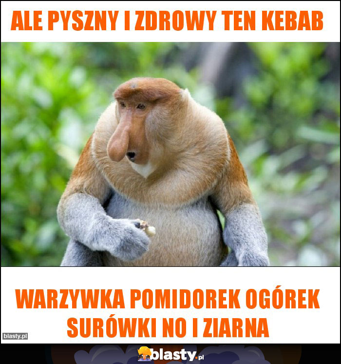 ALE PYSZNY I ZDROWY TEN KEBAB