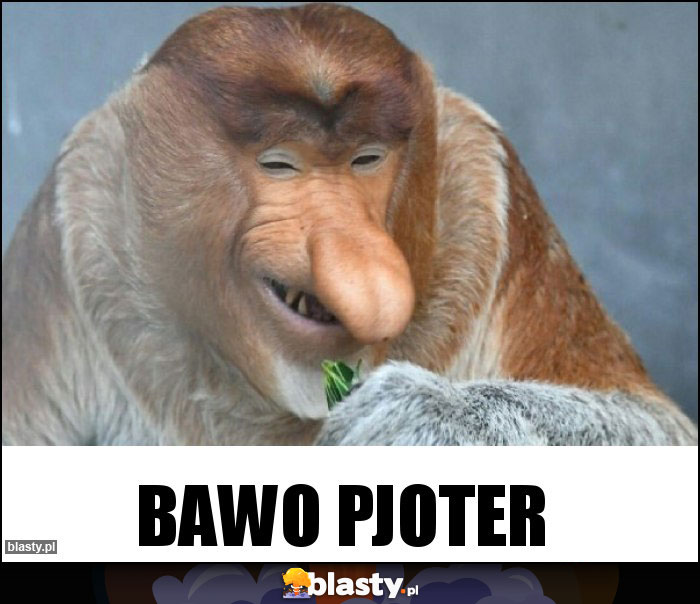 BAWO PJOTER