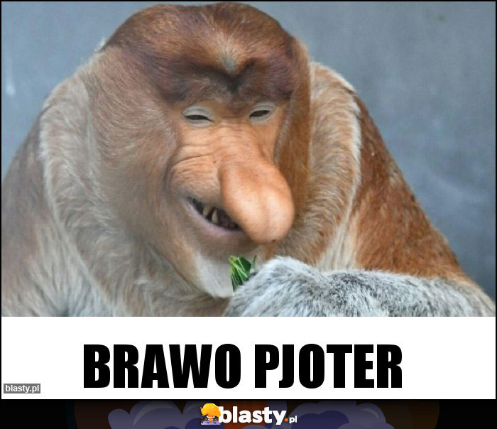 BRAWO PJOTER