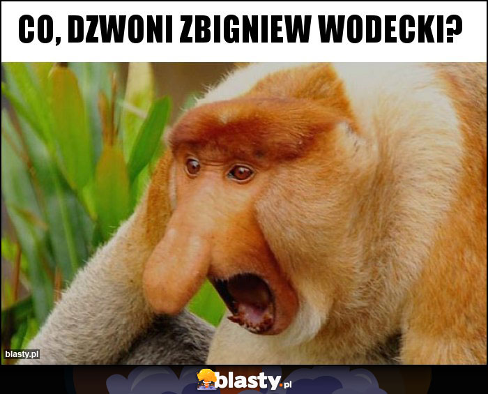 Co, dzwoni Zbigniew Wodecki?