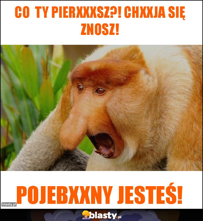 Co  Ty pierxxxsz?! Chxxja się znosz!