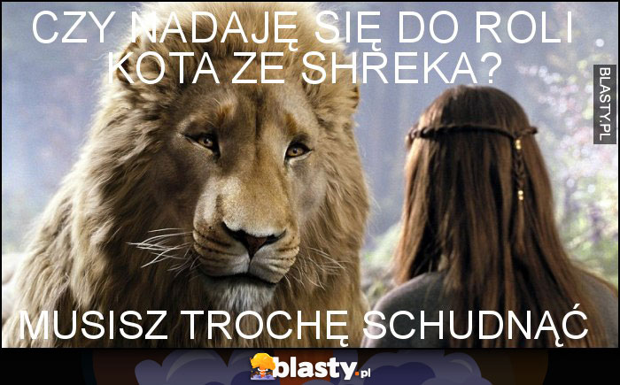 Czy nadaję się do roli kota ze Shreka?