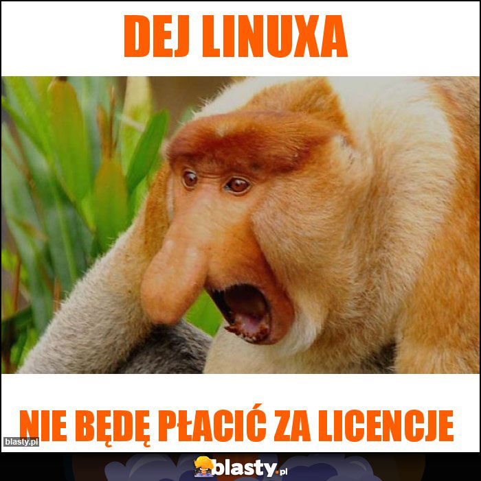 DEJ LINUXA