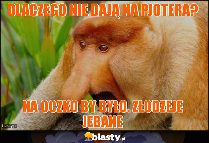 Dlaczego nie dają na pjotera?