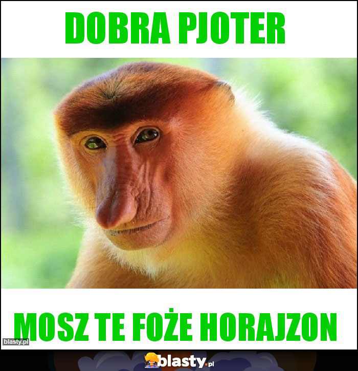 Dobra Pjoter