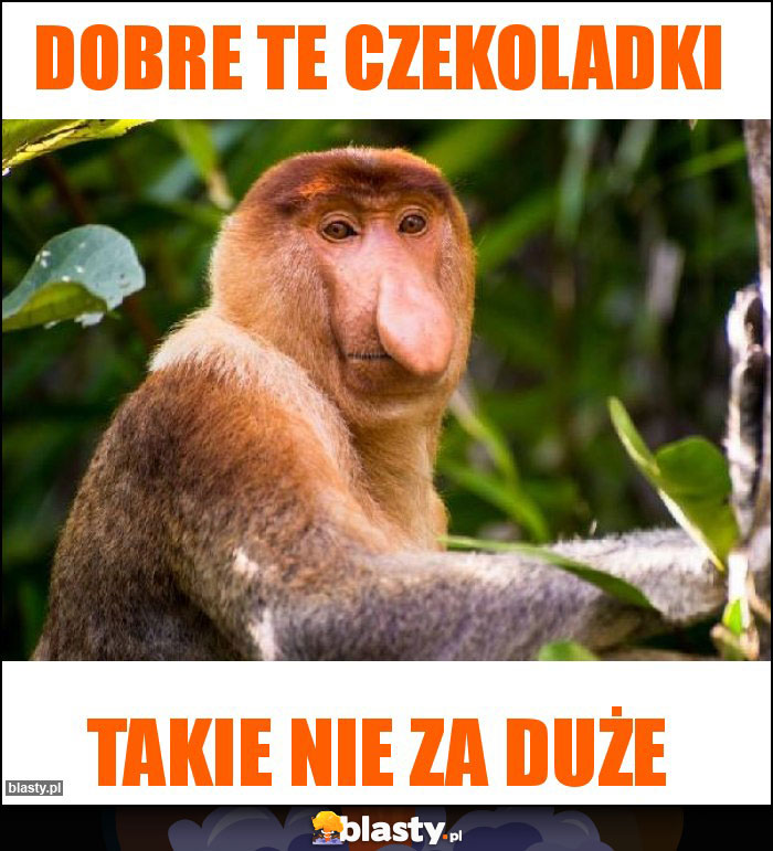 Dobre te czekoladki