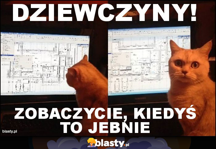 Dziewczyny!