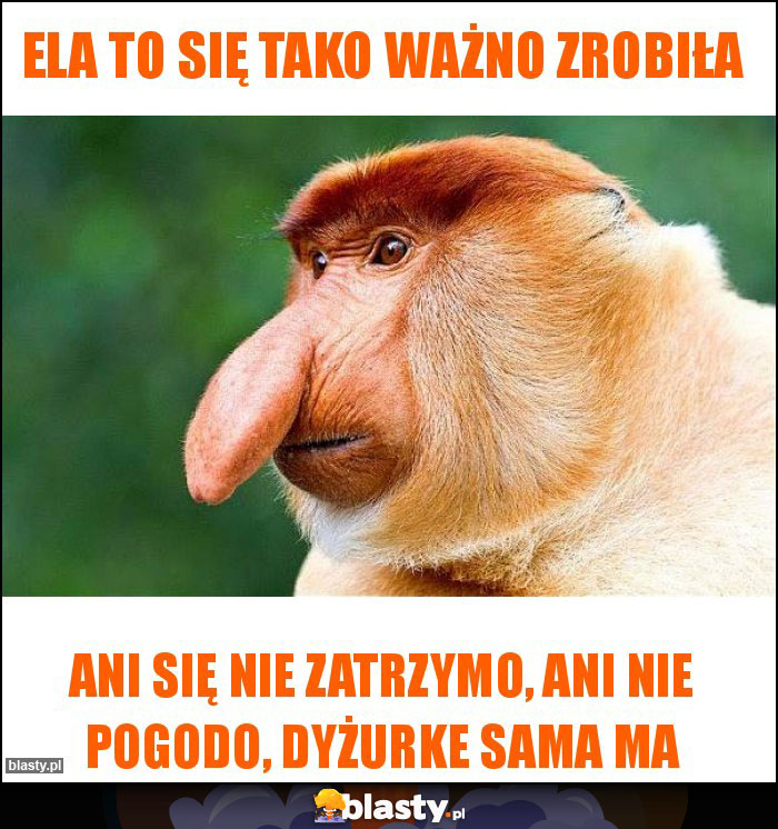 Ela to się tako ważno zrobiła