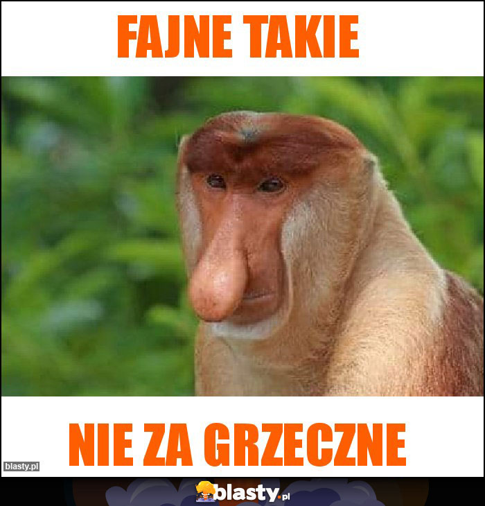 Fajne takie