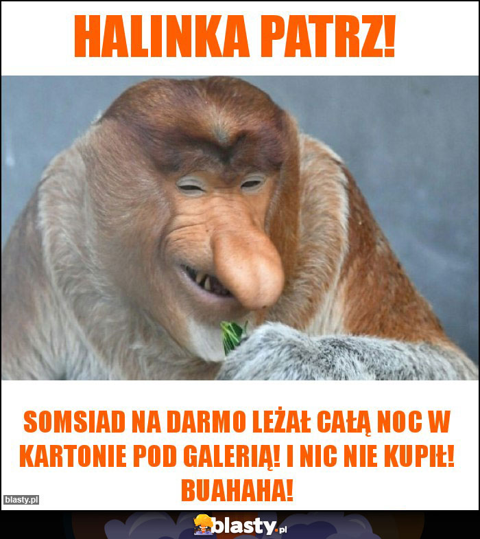 Halinka patrz!