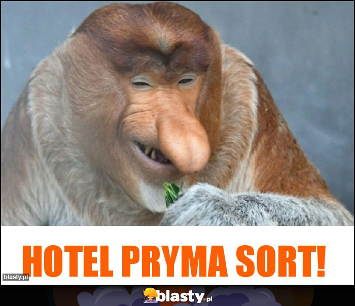 Hotel pryma sort!