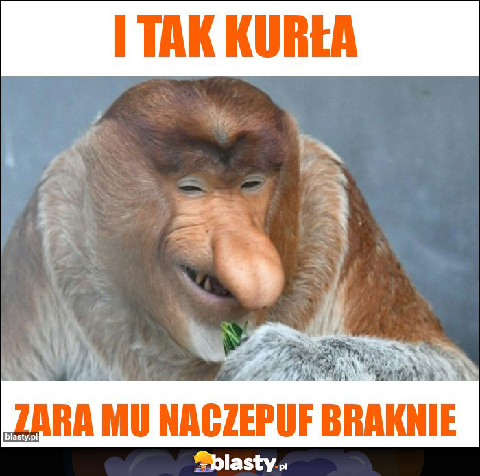 I tak kurła