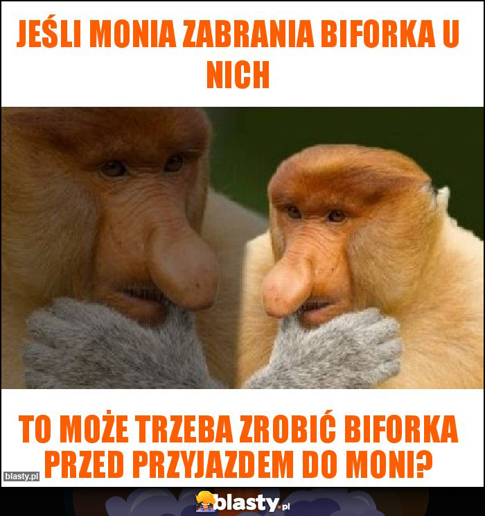 Jeśli Monia zabrania biforka u nich