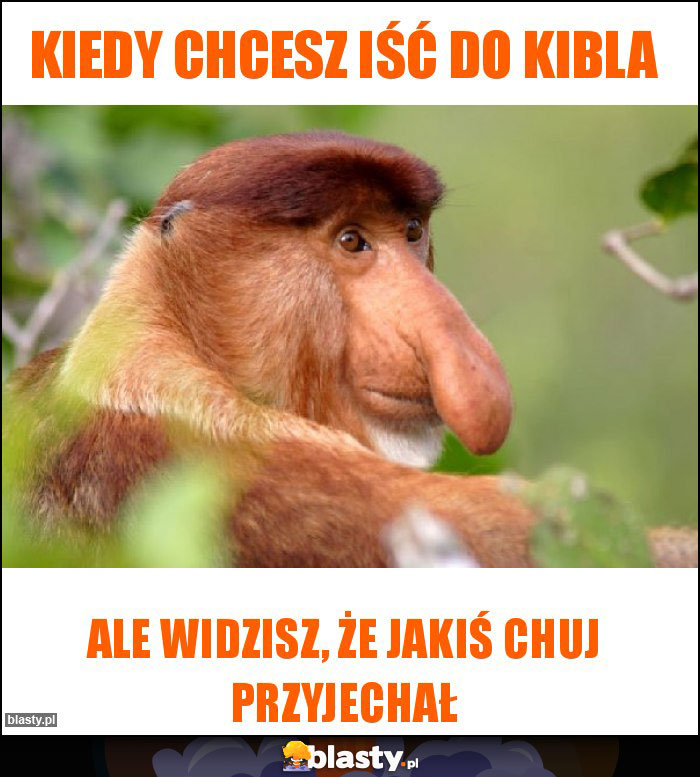 Kiedy chcesz iść do kibla